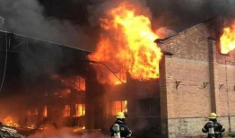 今日莆田火灾爆料图片,救援行动紧急展开